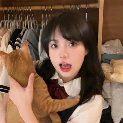 女神捕之迷局